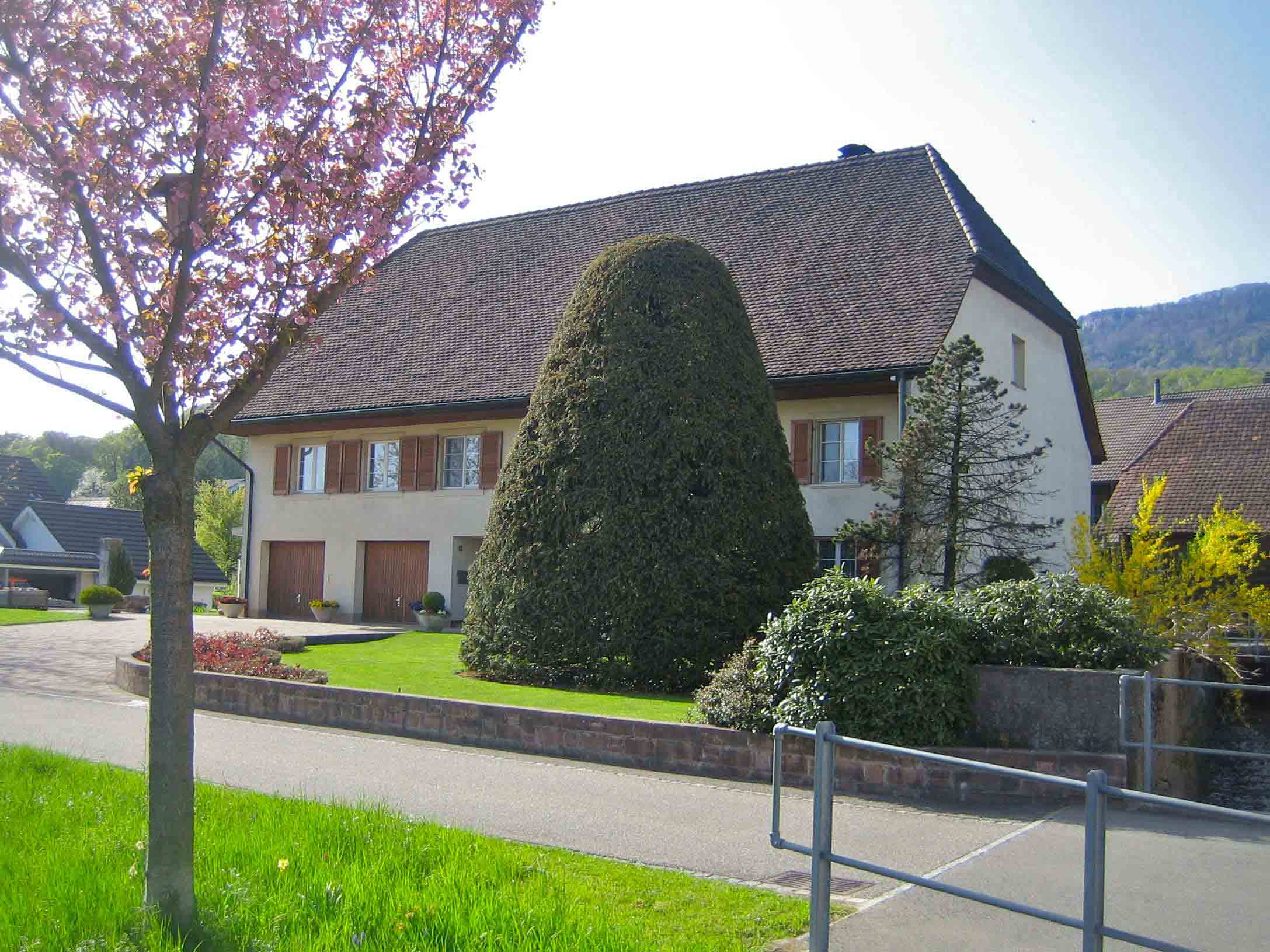 Umgebautes Bauernhaus mit alter Eibe - Converted farmhouse with old yew tree